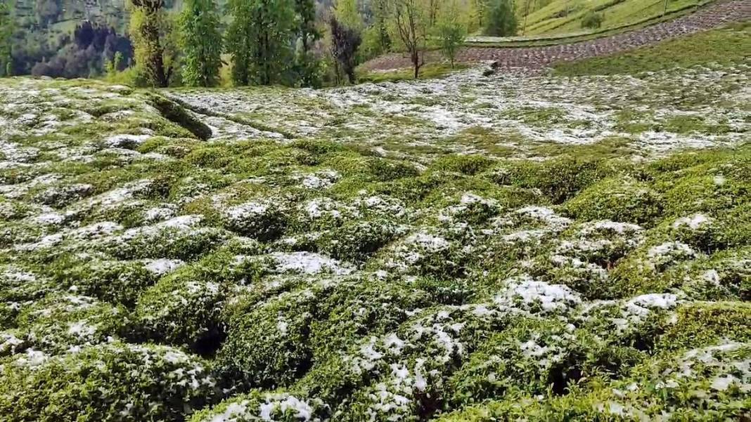 Tarımda tarihin en büyük felaketi yaşanıyor! Meyve, sebze fiyatlarında rekor artış yaşanacak 7